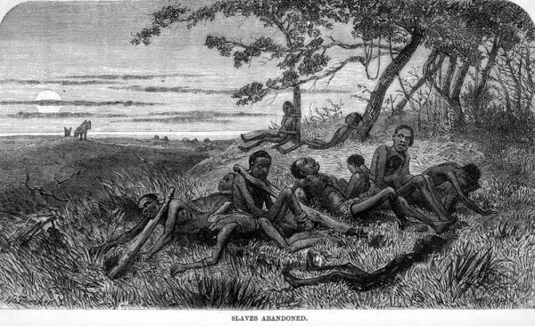 Capture of slaves in Africa - Slave trade, Slavery, Images, Africa, Longpost