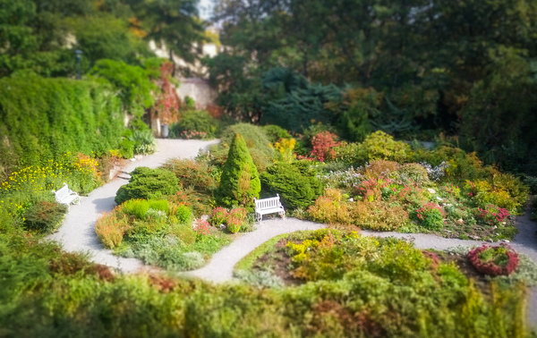 small garden - My, Summer, Garden, The park, Benches