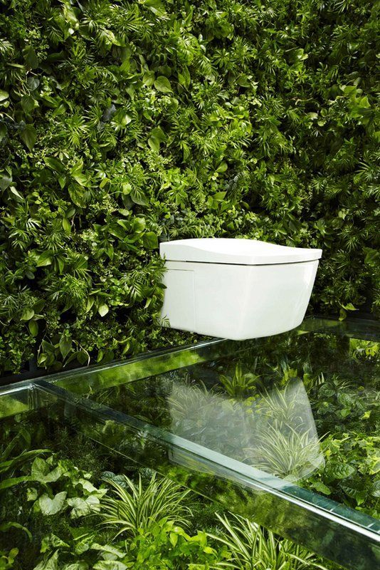 Green toilet - Vertical landscaping, Toilet, Technologies, glass floor, Minimalism, Toilet, House