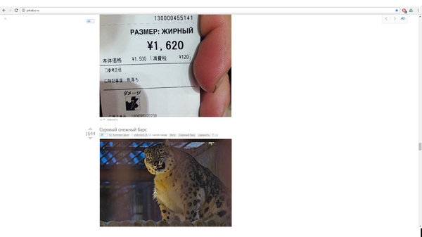 Ну, зато не холодно