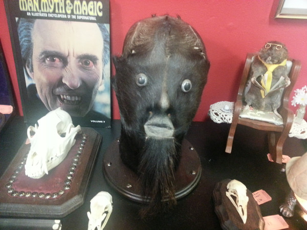 ����� ����� ��� ������ �� ������� �����