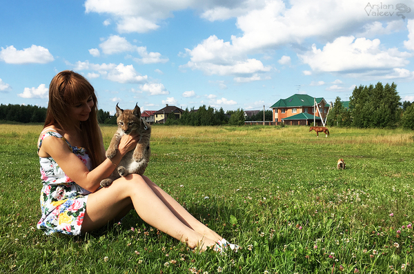 "Everything the light touches is our Kingdom Simba" Рысь, Ханна, Прогулка, Длиннопост