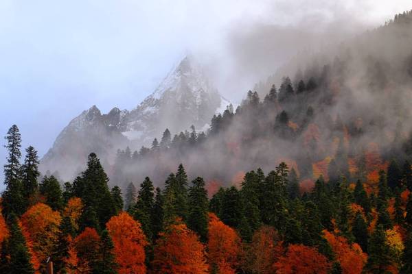 Teberda Reserve - Teberda Reserve, Karachay-Cherkessia, Russia, Photo, Gotta go, Nature, Landscape, Autumn, Longpost