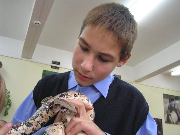 �� ������ ����