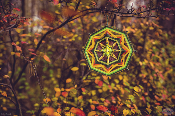 Autumn mandala - My, Mandala, Autumn, Forest