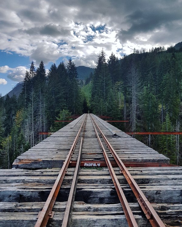 Vance Creek Bridge, WA, USA - , USA, The photo, Bridge, Rails