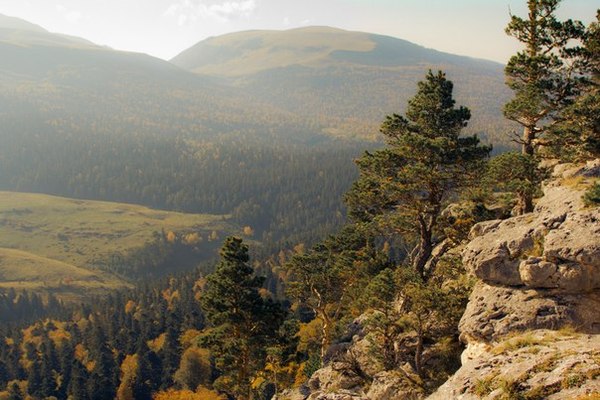 Autumn - The nature of Russia, Autumn, Longpost