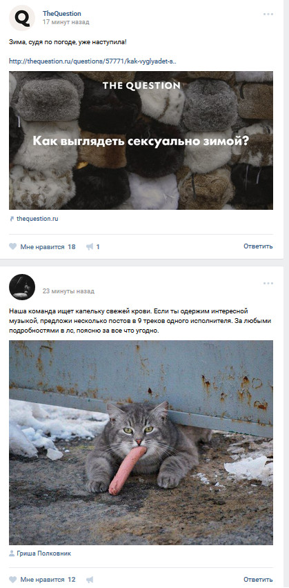 Question answer - In contact with, cat, Winter, Screenshot, Humor, Not good, Tag