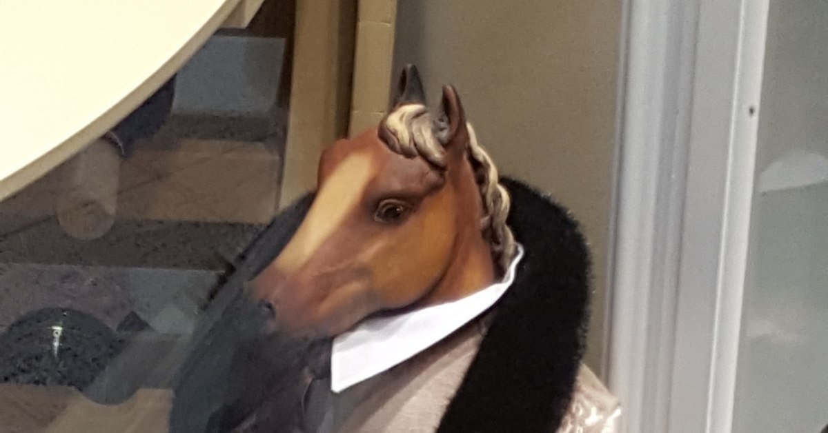 Конь в пальто рубцовск