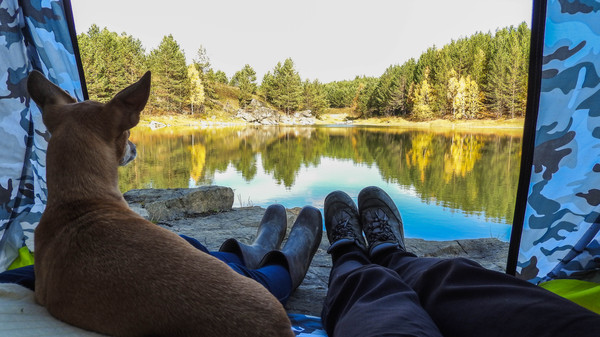 Two people in a tent... - My, Nature, Tent, Legs, Dog, Lake, Autumn