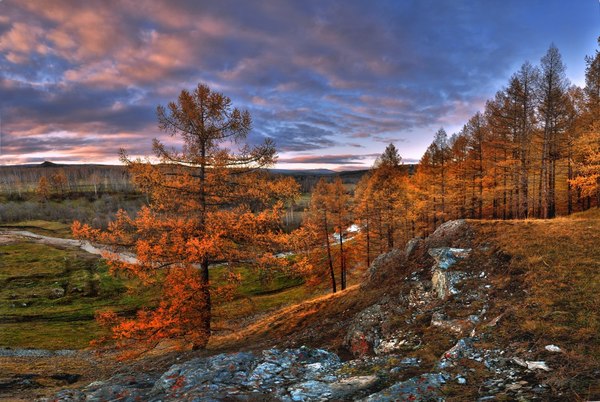 Autumn in the South Urals - Southern Urals, Autumn, Nature, Landscape, Gotta go, Russia, Photo, The photo, Longpost