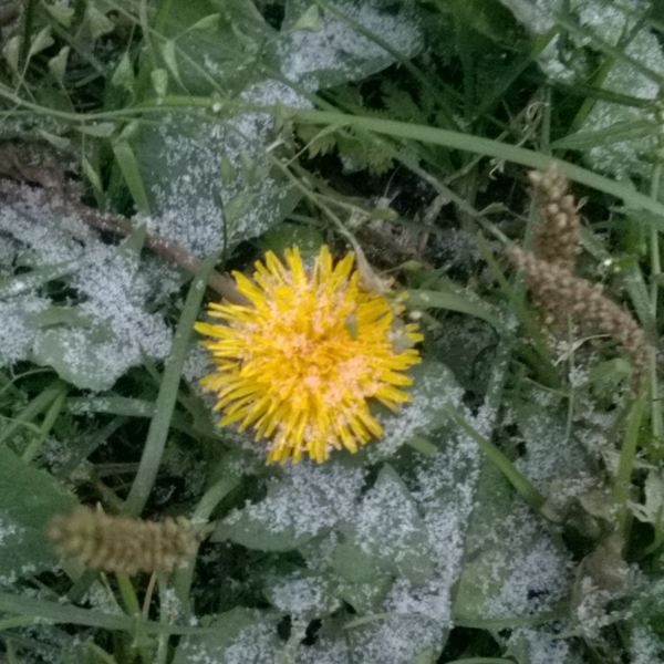 ������� ����� ����