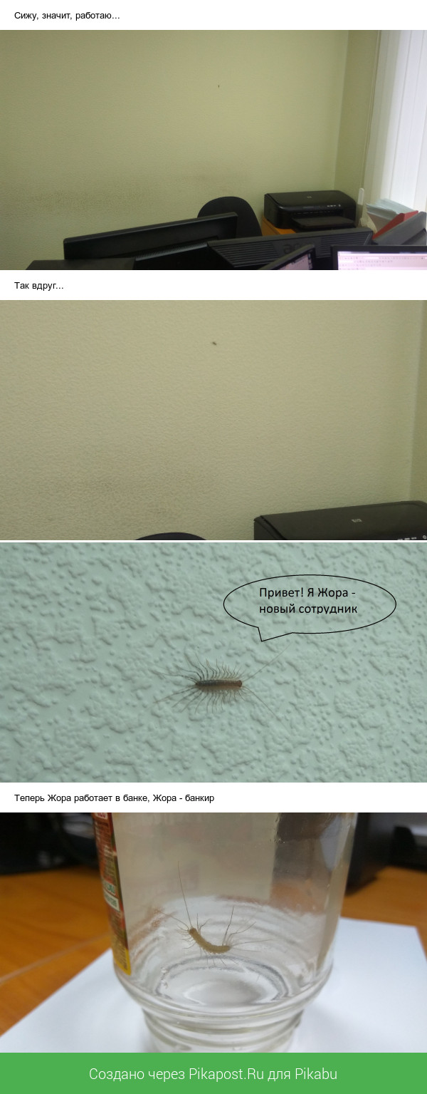New employee in our office - My, Employees, Longpost, Office, Images, Insects, Humor, Work, Weekdays