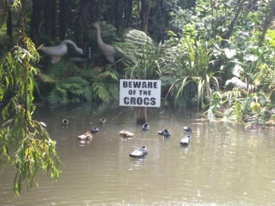 Dangerous place. - Warning, Crocs, Crocodile, Photo, From the network, Crocodiles