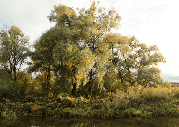 In the upper reaches of the Moscow River - My, Photo, Landscape, , Moscow River