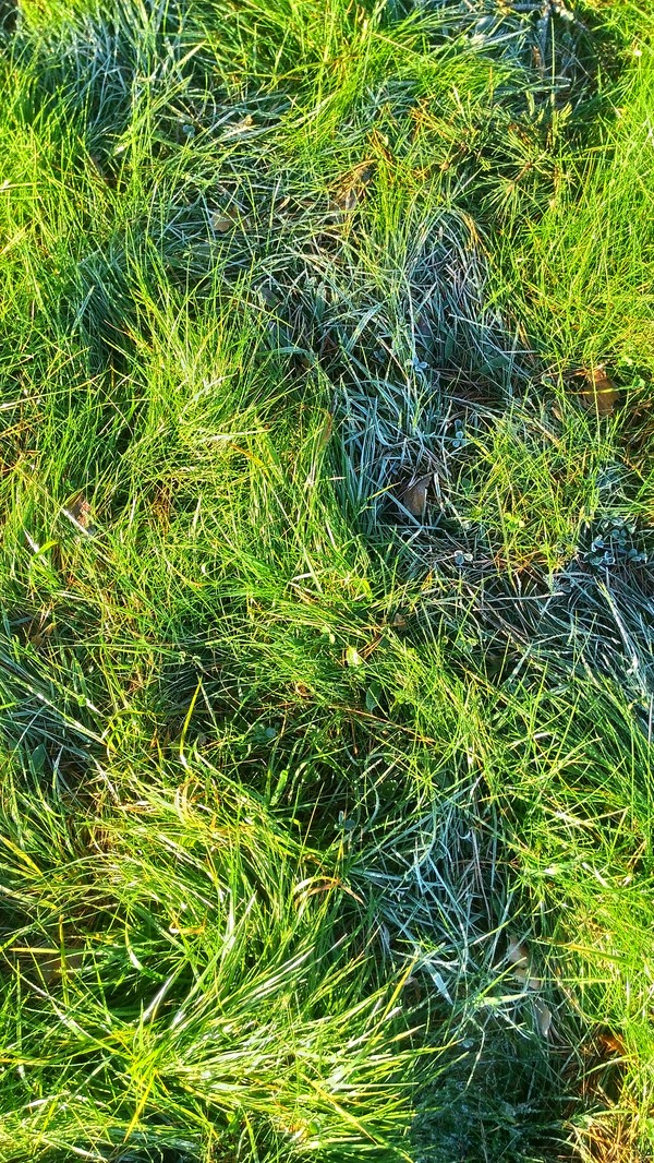    , , 