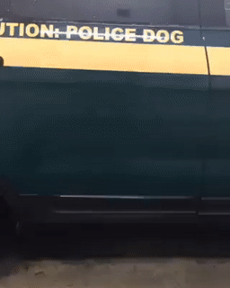 Caution: police dog - Police, Dog, Humor, Water, Jet, Hose, GIF