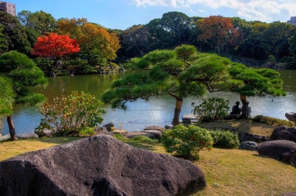 The school curriculum in Japan includes admiring nature. - Japan, Nature, School, admiring, Text, Photo, Longpost