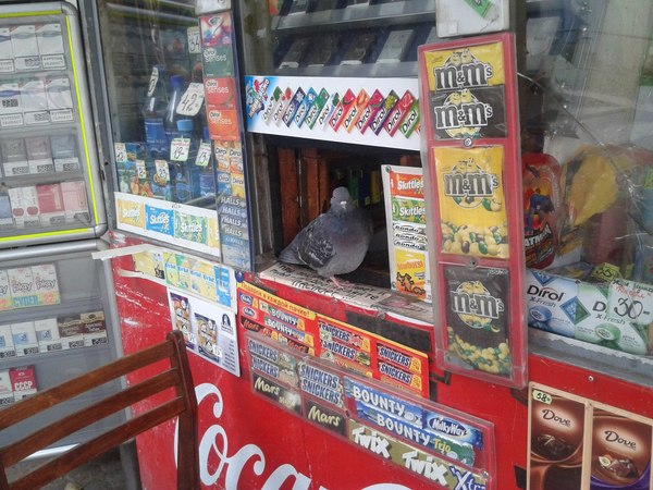 ����� ��� ����� �� �����������