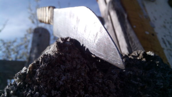 Knife - photo of a knife - My, , Knife, Stump, Sheath, Longpost
