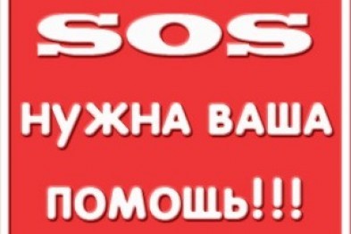 �������� ����� �����