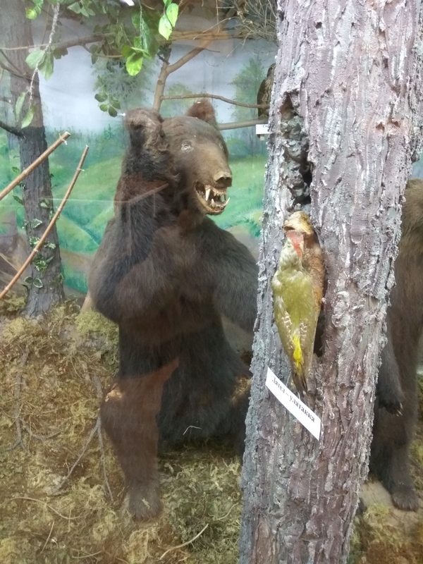 A stuffed bear is terrifying - My, Scarecrow, The Bears, Museum of Local Lore