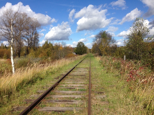 Autumn wind will blow in the afternoon - My, Autumn, Photo, beauty