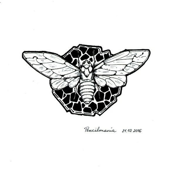 Cicada. - My, Art, Painting, Drawing, Pen drawing, Anti-stress coloring page, 