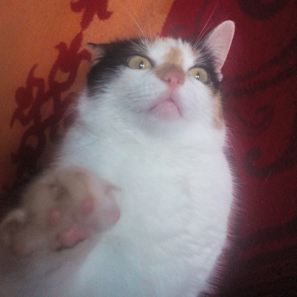    ,  , , , 