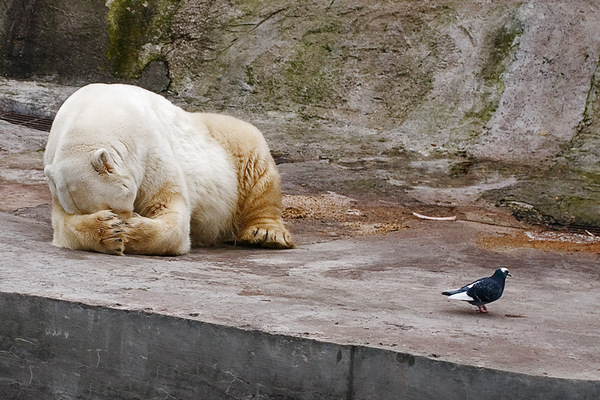 Вася! Ну не топай!