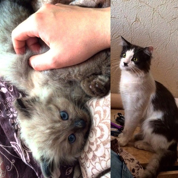 ���� ����� ����, ����� ������� ����� ����������� �������.