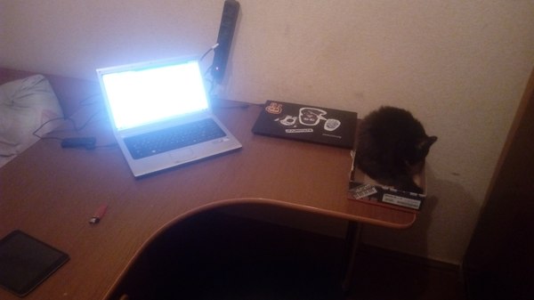 Cat Neutralizer - My, , Notebook, , cat, Box