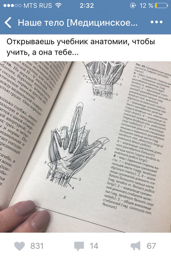 It seems that Peekaboo quotes about medical topics) - Not mine, Anatomy, Textbook, Honestly stolen