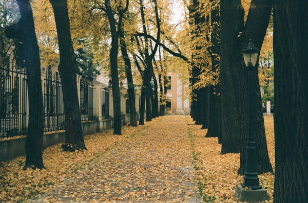 Autumn Park - Kaluga, The park, Autumn, Shift8m, Digitization, Photo, My