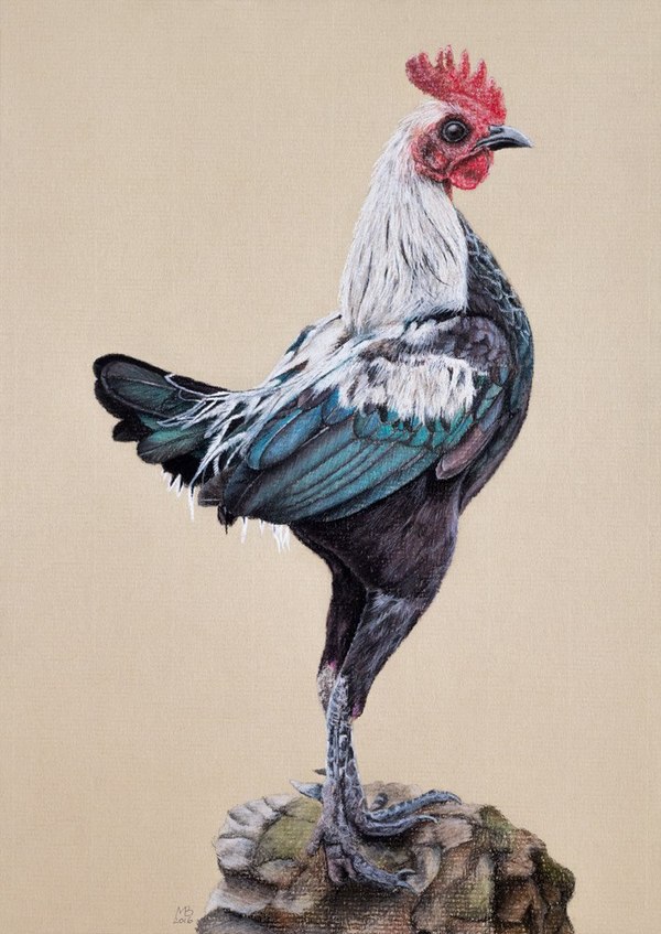 rooster - My, Rooster, Hen, Drawing, My, Pastel, Graphics, Year of the rooster, Symbol of the year