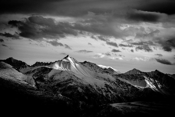 At an altitude of 3000 meters. - The mountains, Altai, Autumn, Longpost, Beluga Whale Mountain, Altai Republic