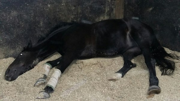 Эх. Так лень вставать.