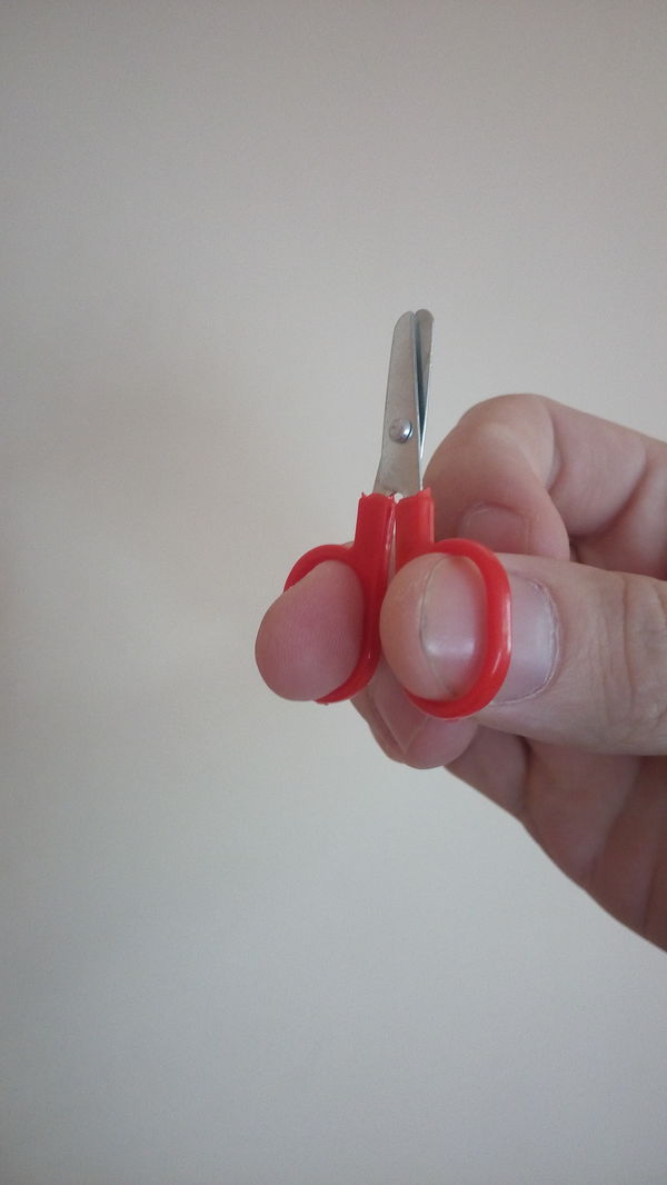 ��� ��������� ������������