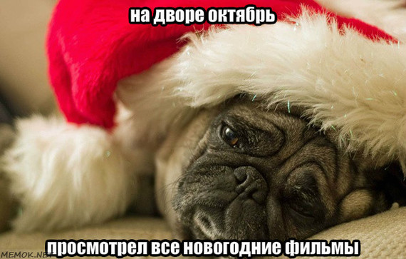 ����������..