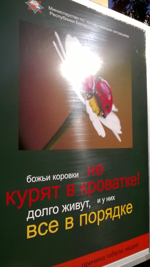 Milota straight from Belarus. - Social, Social advertisement, ladybug, Milota, Smoking