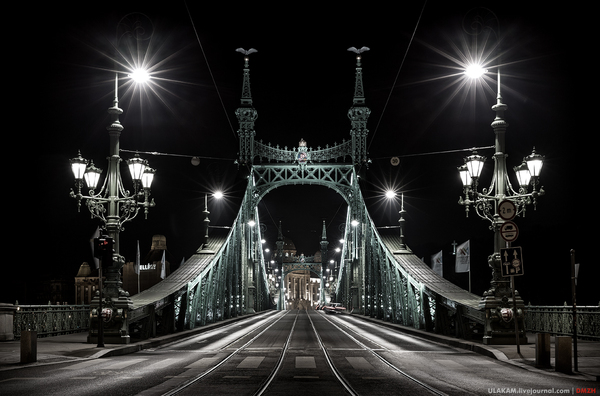 Liberty Bridge at night. - My, Night, Bridge, Photo, Budapest, Hungary, Symmetry