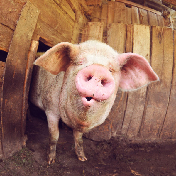 На выходе из кабака