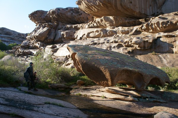 Bektau-Ata tract, or walks on a large stone - My, Longpost, Kazakhstan, Nature, 