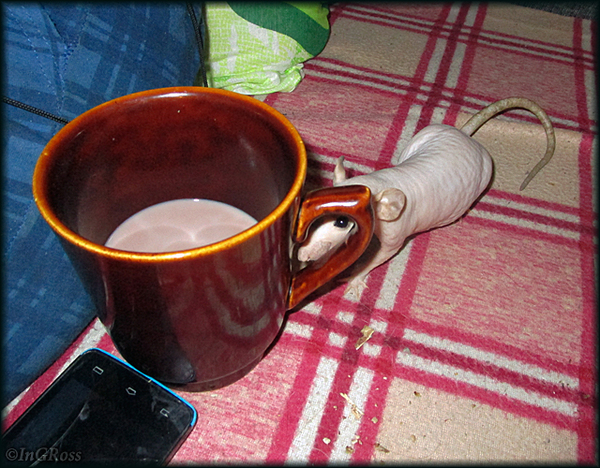 ���������� (������).