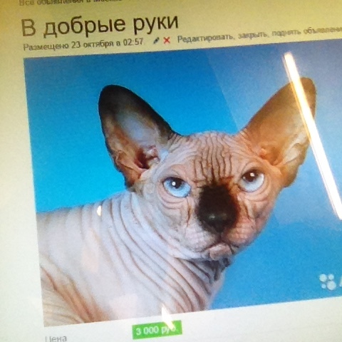   )))