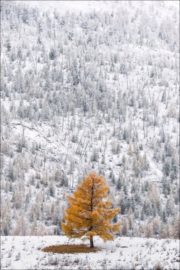 Last touch of autumn - Altai, Nature, The photo, Russia, Altai Republic