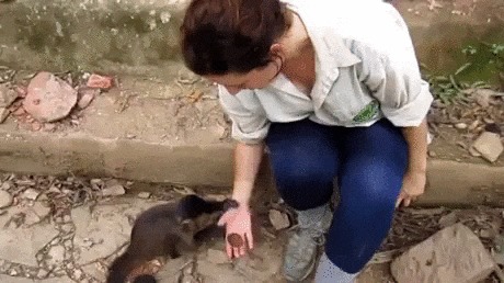Ты издеваешься? А ну коли!