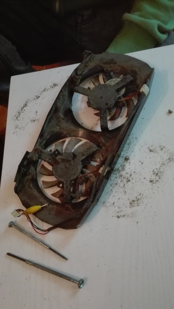 A friend has not cleaned the video card for 4 years - My, My, Video card, Dust, Longpost