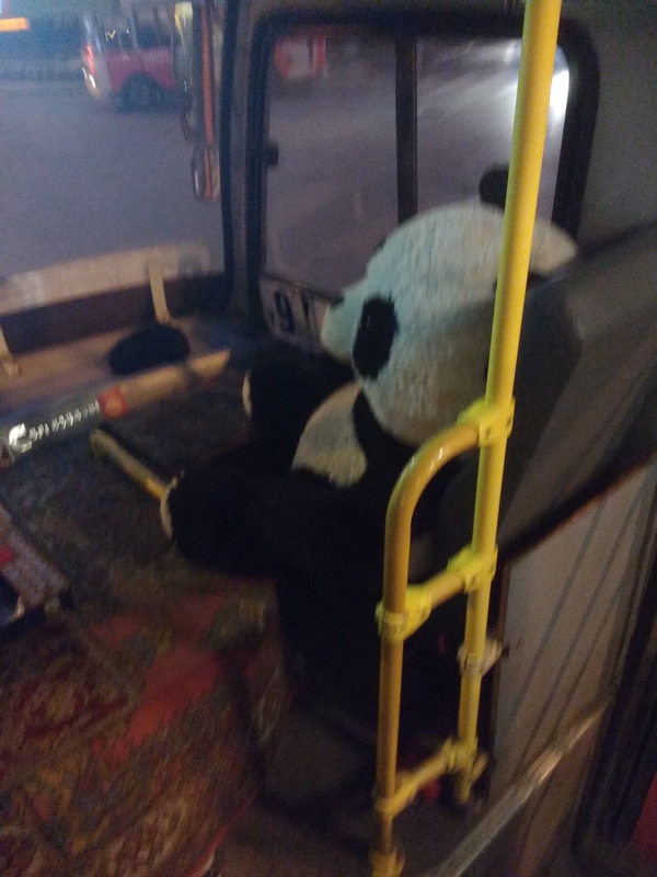 ��������