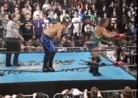 Wrestlng Botches , Botch, , 
